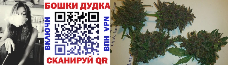 Как найти закладки Лодейное Поле ГАШИШ Марихуана Cocaine АМФ Меф APVP