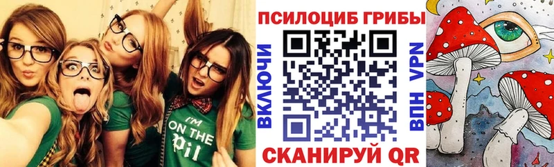Псилоцибиновые грибы GOLDEN TEACHER  Лодейное Поле 